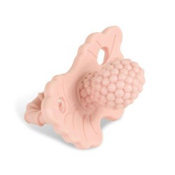 RaZBaby  PRZEŹROCZYSTE GRYZACZKI