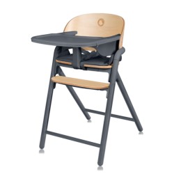 Lionelo Celia wielofunkcyjne krzesełko do karmienia