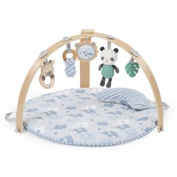 INGENUITY Mata edukacyjna...