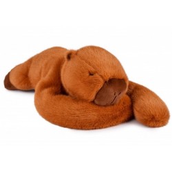 Histoire d'Ours...