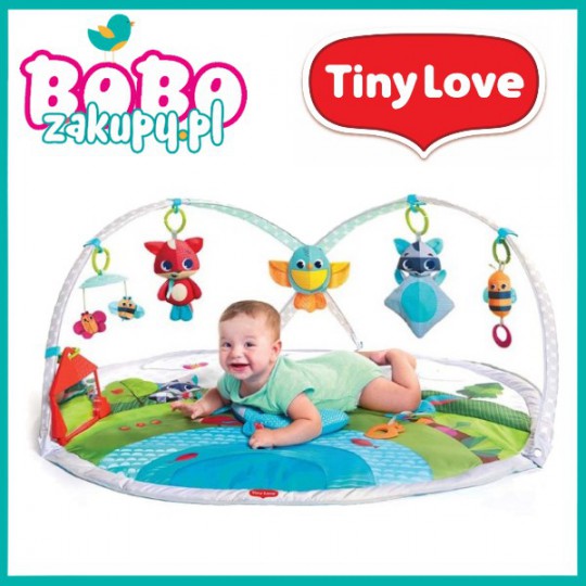 MATA TINY LOVE ZABAWA NA ŁĄCE MATA TINY LOVE ZABAWA NA ŁĄCE