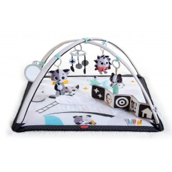 TINY LOVE Gimnastyka/Mata...