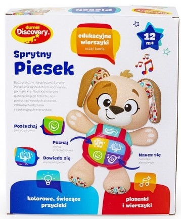 Piesek w pudełku od tyłu