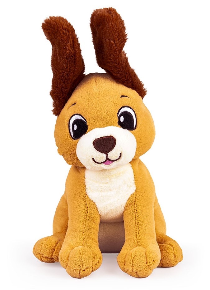 Piesek w pudełku od tyłu